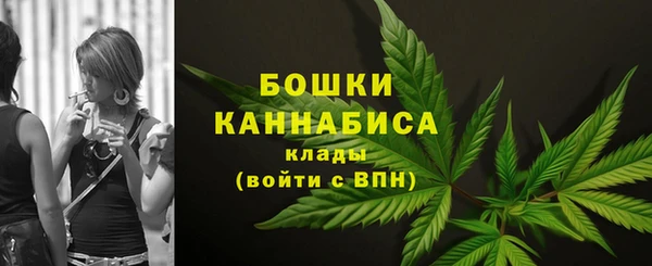 ALPHA PVP Ростов