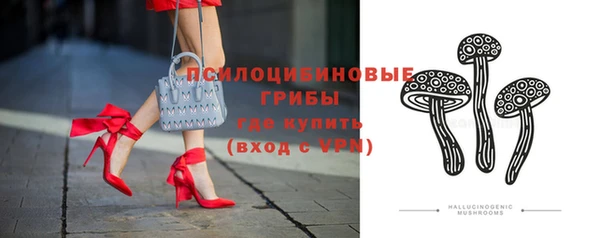 мяу мяу мука Приозерск