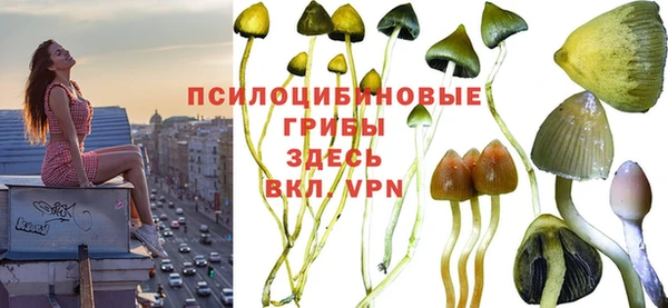ALPHA PVP Рославль