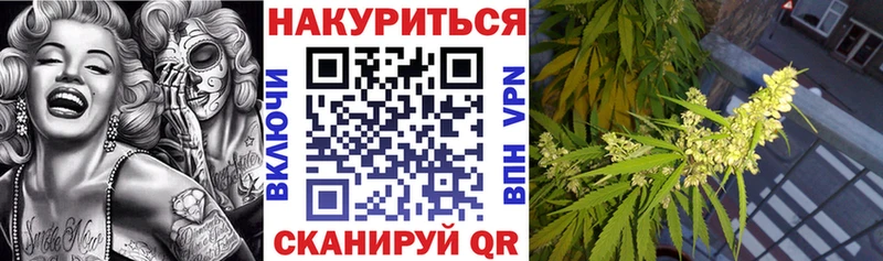 купить   Бакал  Бошки Шишки индика 